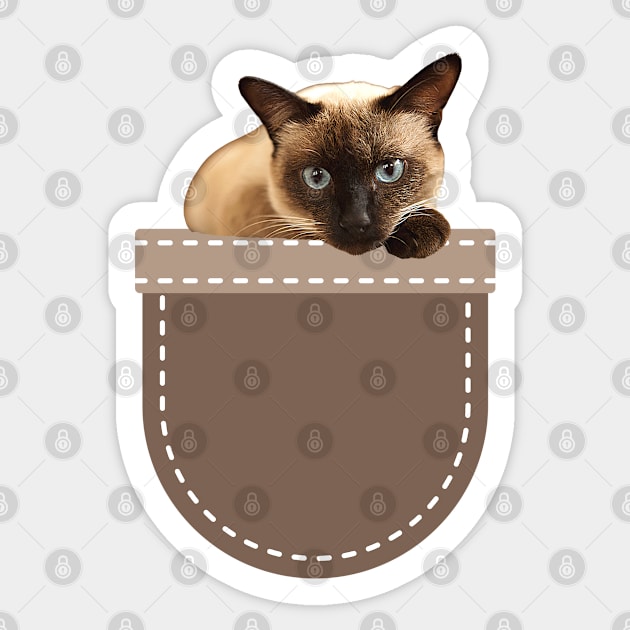 Cat in Pocket (Tonkinese Cat) Sticker by leBoosh-Designs